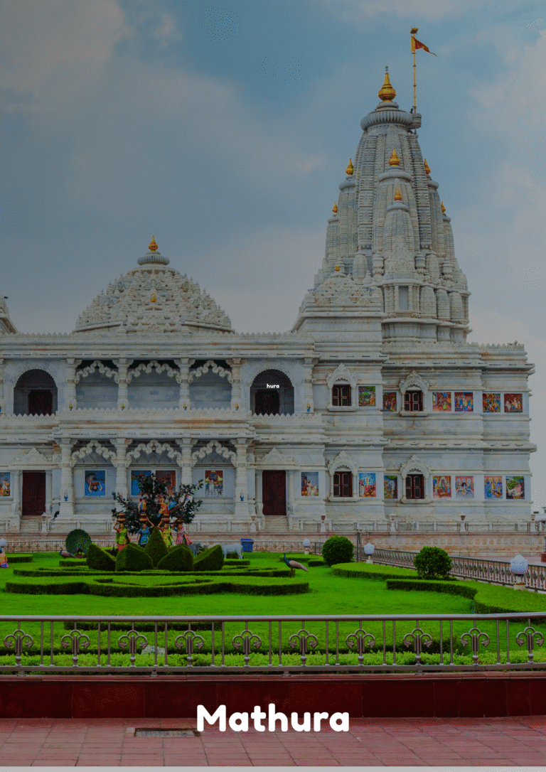 Red Yellow and Blue Dynamic Rafting in Rishikesh Poster (4)