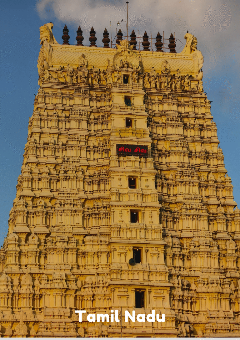 Red Yellow and Blue Dynamic Rafting in Rishikesh Poster (9)